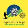 🥇 Murillo Experiencias | Nevados