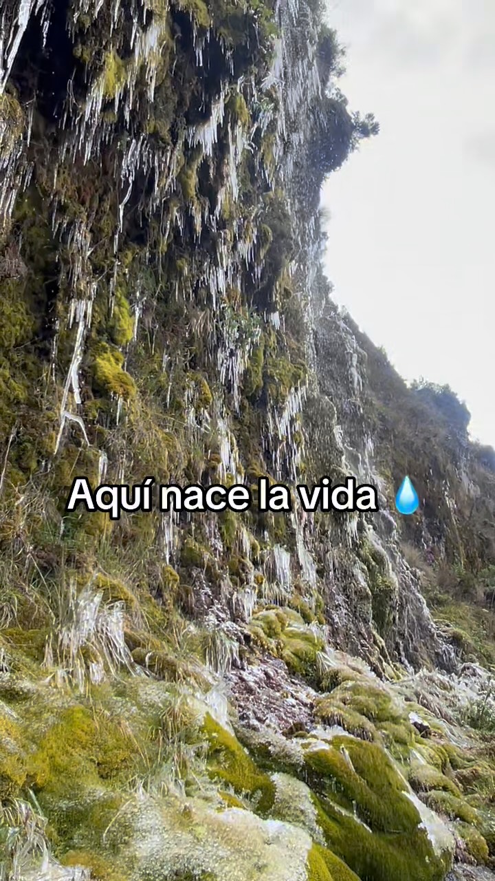 La naturaleza nos recuerda la importancia de uno de los tesoros más grandes de nuestro…