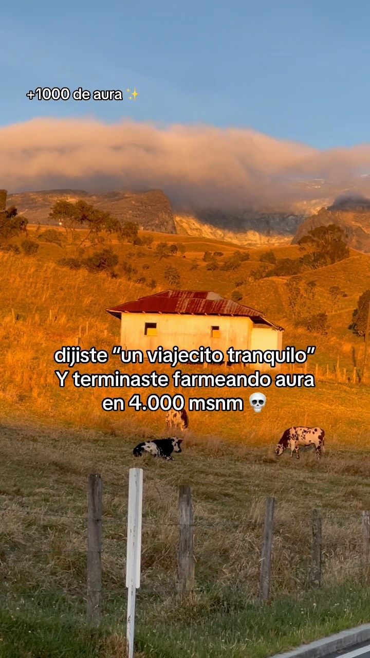 En Murillo no solo vienes a respirar aire puro… también vienes a farmear aura 🗿🏔️😂…