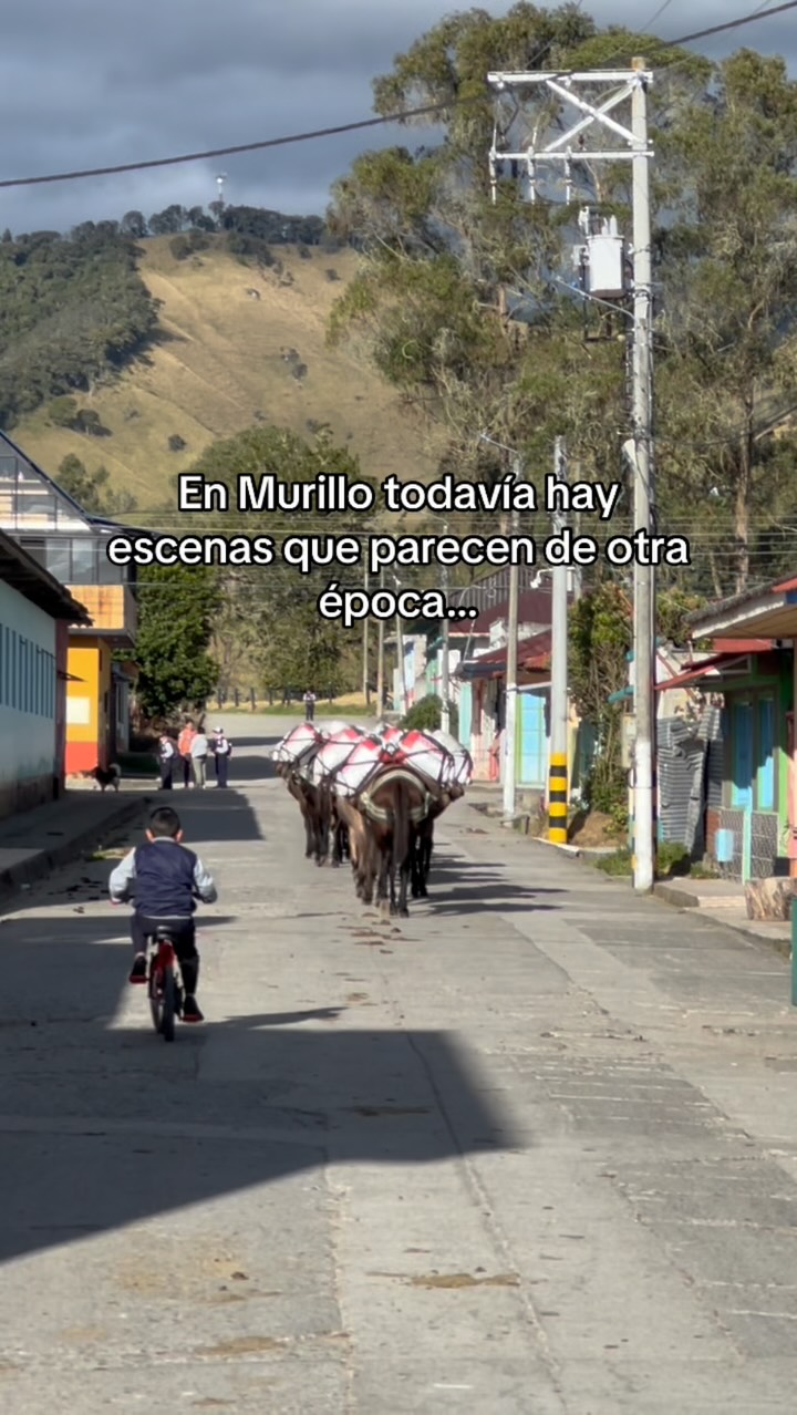 🐴 En Murillo hay escenas que parecen de otra época… y que todavía hacen parte…